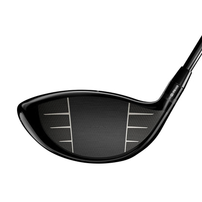 GT 2 Driver (Custom-made item)